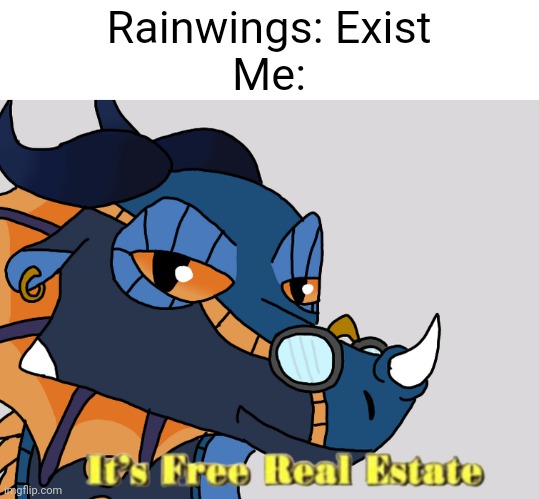 They are just so cool! | Rainwings: Exist
Me: | image tagged in lyrebird it's free real estate | made w/ Imgflip meme maker