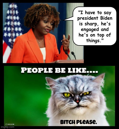 What the cat said. | image tagged in bidenomics,joe biden,democrats,economy,politics | made w/ Imgflip meme maker