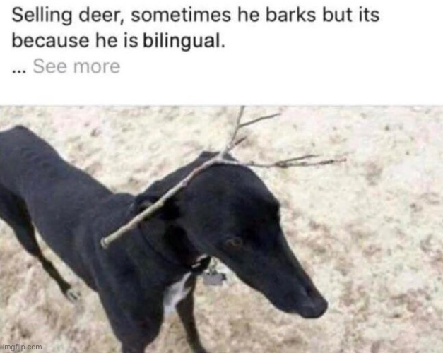 Roses are red I am single: | made w/ Imgflip meme maker