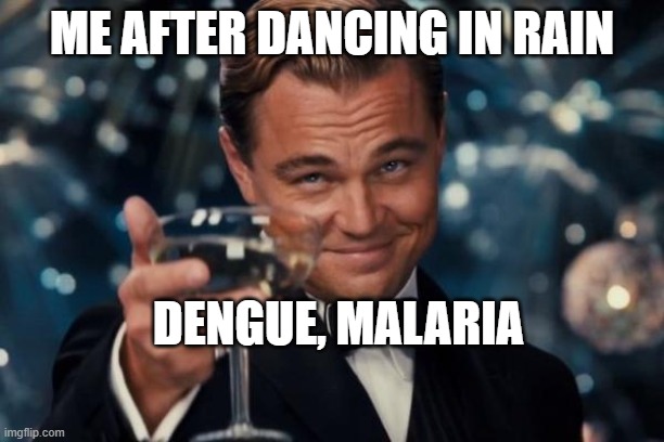 Leonardo Dicaprio Cheers | ME AFTER DANCING IN RAIN; DENGUE, MALARIA | image tagged in memes,leonardo dicaprio cheers | made w/ Imgflip meme maker