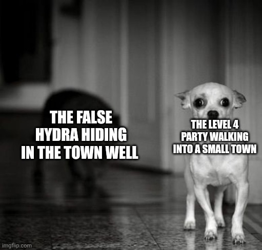 What a strange town. | THE FALSE HYDRA HIDING IN THE TOWN WELL; THE LEVEL 4 PARTY WALKING INTO A SMALL TOWN | image tagged in paranoid,dungeons and dragons | made w/ Imgflip meme maker