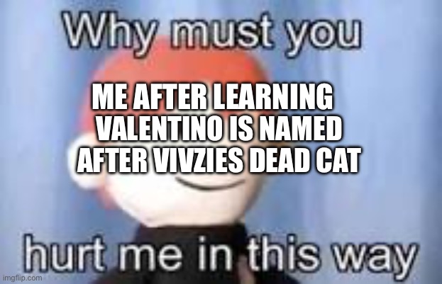 WHY | ME AFTER LEARNING; VALENTINO IS NAMED AFTER VIVZIES DEAD CAT | image tagged in why must you hurt me in this way | made w/ Imgflip meme maker