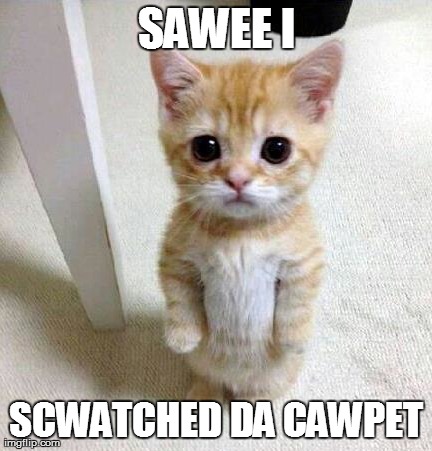 SAWEE I SCWATCHED DA CAWPET | image tagged in cute,kittens | made w/ Imgflip meme maker