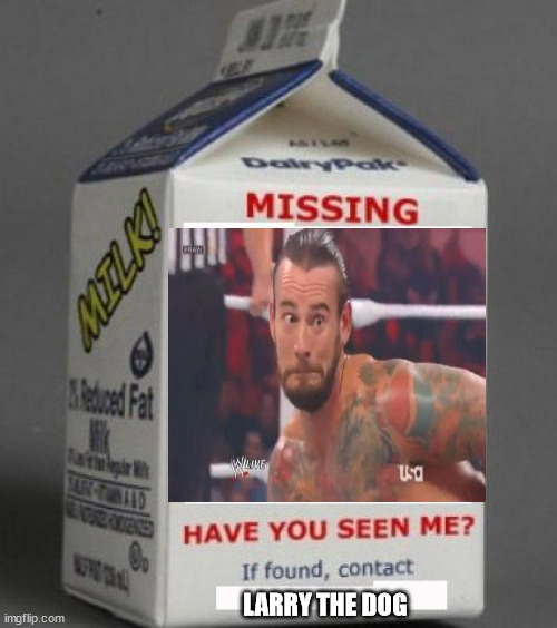 cm punk missing | LARRY THE DOG | image tagged in milk carton | made w/ Imgflip meme maker