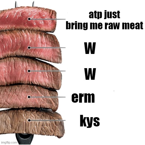 Steak | atp just bring me raw meat; W; W; erm; kys | image tagged in steak | made w/ Imgflip meme maker