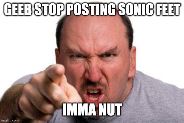 Angry Man Pointing | GEEB STOP POSTING SONIC FEET; IMMA NUT | image tagged in angry man pointing | made w/ Imgflip meme maker