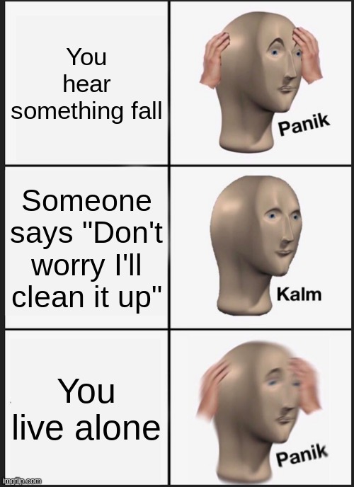uhh.... | You hear something fall; Someone says "Don't worry I'll clean it up"; You live alone | image tagged in memes,panik kalm panik | made w/ Imgflip meme maker