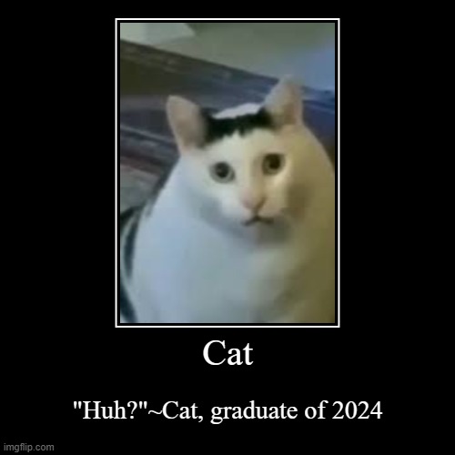 Senior quotes | Cat | "Huh?"~Cat, graduate of 2024 | image tagged in funny,demotivationals | made w/ Imgflip demotivational maker