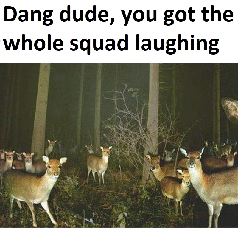 Dang dude you got the whole squad laughing Blank Meme Template