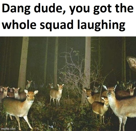 Dang dude you got the whole squad laughing | image tagged in dang dude you got the whole squad laughing | made w/ Imgflip meme maker