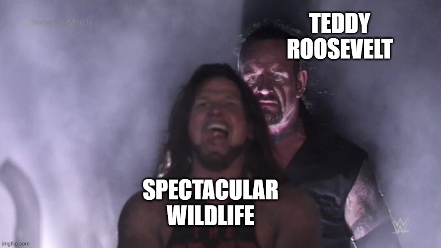 Man Liked to Hunt | TEDDY ROOSEVELT; SPECTACULAR WILDLIFE | image tagged in aj styles undertaker | made w/ Imgflip meme maker