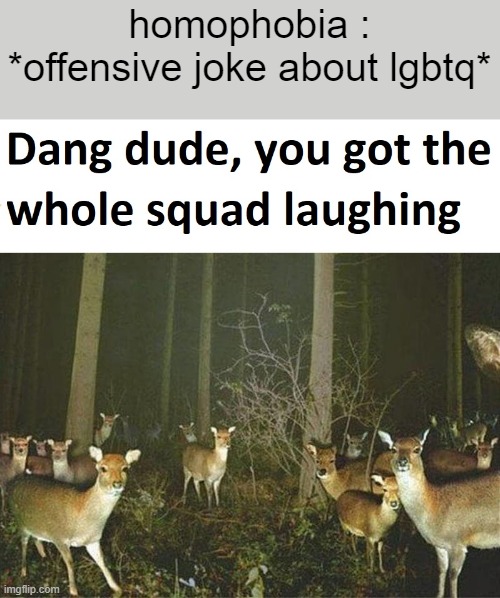My template btw | homophobia : *offensive joke about lgbtq* | image tagged in dang dude you got the whole squad laughing | made w/ Imgflip meme maker