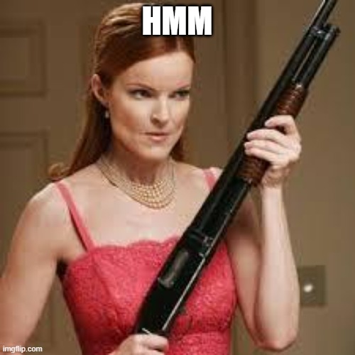 wife with a shotgun | HMM | image tagged in wife with a shotgun | made w/ Imgflip meme maker