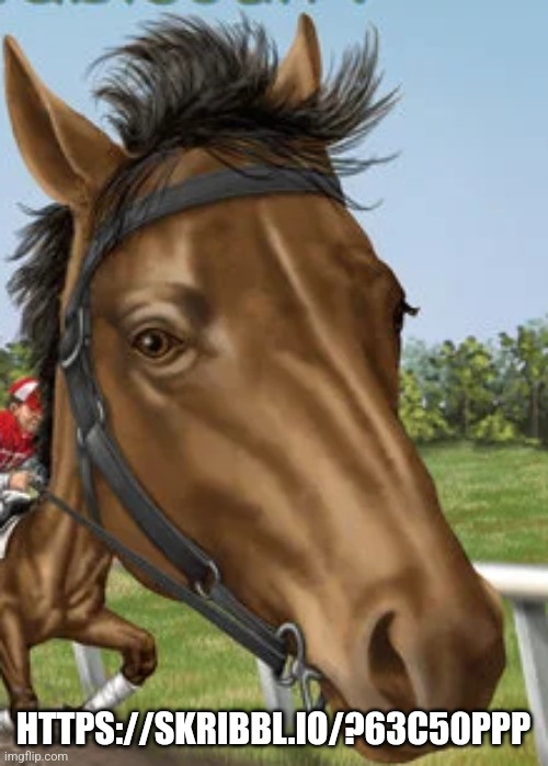 Big horse | HTTPS://SKRIBBL.IO/?63C50PPP | image tagged in big horse | made w/ Imgflip meme maker