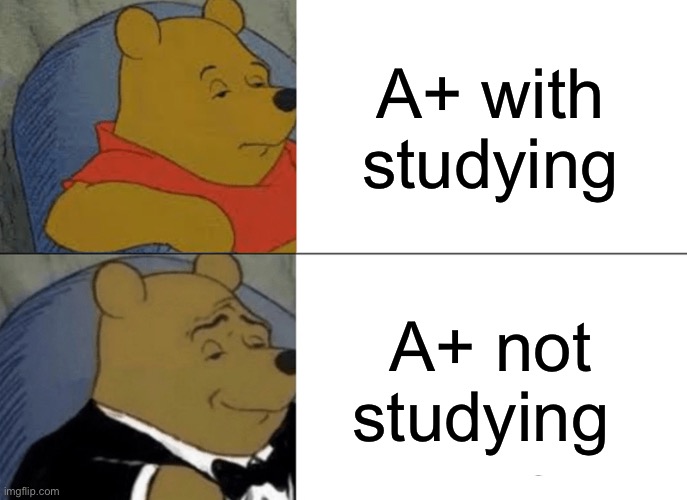 Tuxedo Winnie The Pooh | A+ with studying; A+ not studying | image tagged in memes,tuxedo winnie the pooh | made w/ Imgflip meme maker