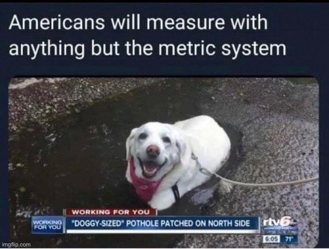 doggy sized pothole | image tagged in dog | made w/ Imgflip meme maker