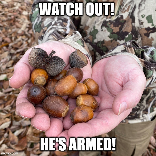 WATCH OUT! HE'S ARMED! | made w/ Imgflip meme maker