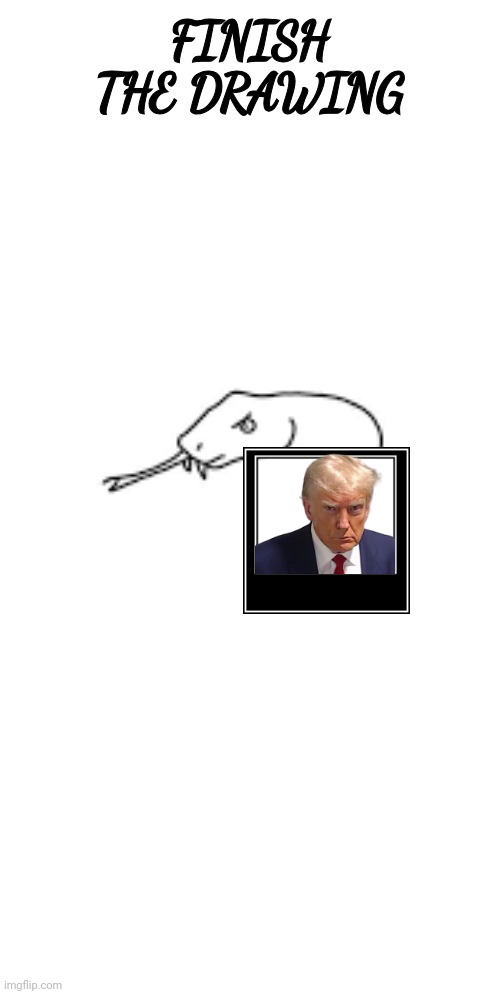 finish the drawing | image tagged in finish the drawing | made w/ Imgflip meme maker