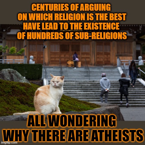 This #lolcat wonders why religious people wonder why there are atheists | CENTURIES OF ARGUING 
ON WHICH RELIGION IS THE BEST
HAVE LEAD TO THE EXISTENCE 
OF HUNDREDS OF SUB-RELIGIONS; ALL WONDERING 
WHY THERE ARE ATHEISTS | image tagged in atheism,religion,lolcat | made w/ Imgflip meme maker