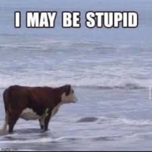 I got back from a canoe trip one summer, opened my feed and saw this. Died of laughter | made w/ Imgflip meme maker