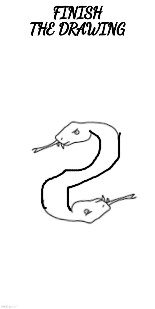 finish the drawing | image tagged in finish the drawing | made w/ Imgflip meme maker