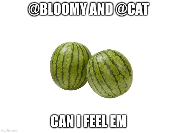 For research | @BLOOMY AND @CAT; CAN I FEEL EM | image tagged in m | made w/ Imgflip meme maker