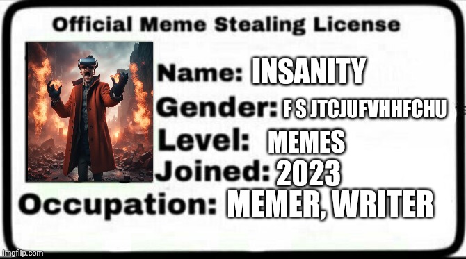 Meme Stealing License | INSANITY; F S JTCJUFVHHFCHU; MEMES; 2023; MEMER, WRITER | image tagged in meme stealing license | made w/ Imgflip meme maker