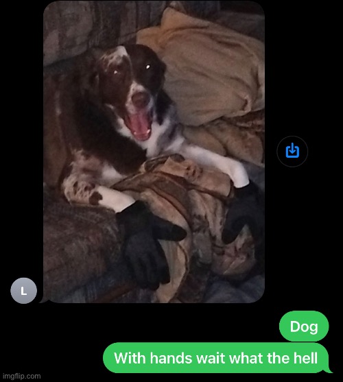 made w/ Imgflip meme maker