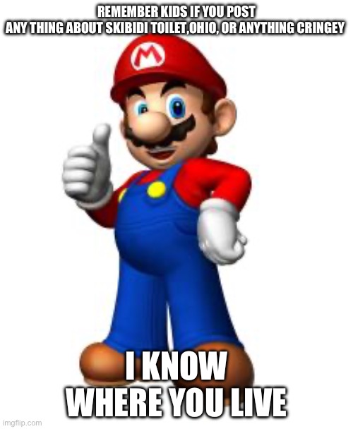 Wise words from mario | REMEMBER KIDS IF YOU POST ANY THING ABOUT SKIBIDI TOILET,OHIO, OR ANYTHING CRINGEY; I KNOW WHERE YOU LIVE | image tagged in mario thumbs up | made w/ Imgflip meme maker