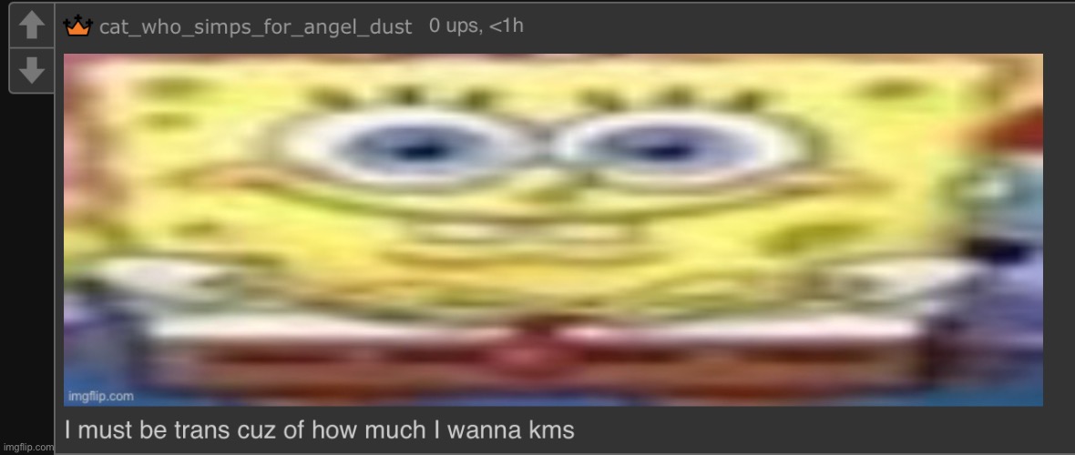 trans kms SpongeBob | image tagged in trans kms spongebob | made w/ Imgflip meme maker