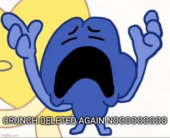 You know, Number1AlastorFan? | CRUNCH DELETED AGAIN NOOOOOOOOO | image tagged in sad four | made w/ Imgflip meme maker