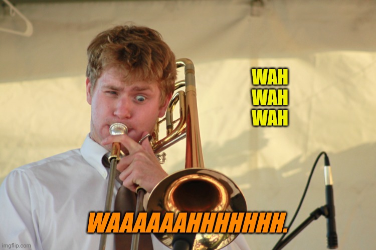trombone1 | WAH
WAH
WAH WAAAAAAHHHHHHH. | image tagged in trombone1 | made w/ Imgflip meme maker