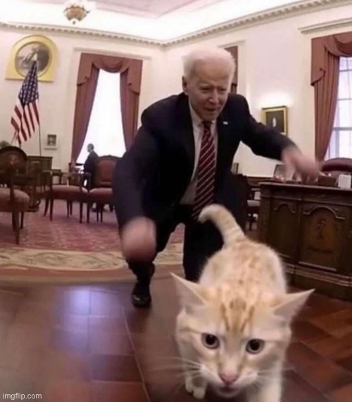 15 upvotes and i post this in politics | made w/ Imgflip meme maker