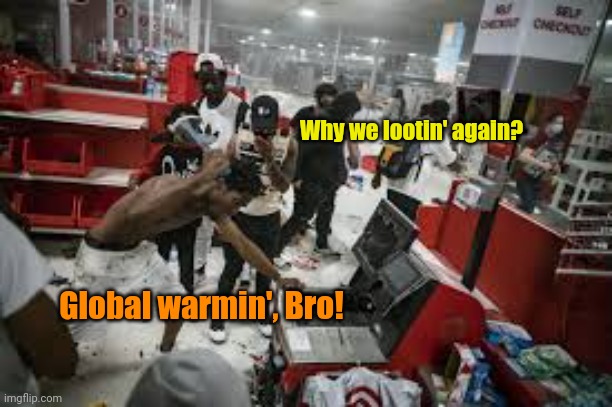 "Protesters" | Why we lootin' again? Global warmin', Bro! | image tagged in protesters | made w/ Imgflip meme maker