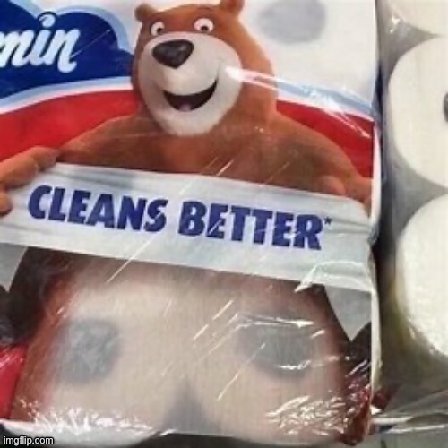 It’s just a normal package of toilet paper guys I swear | made w/ Imgflip meme maker