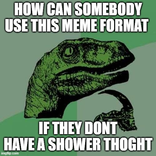 Philosoraptor | HOW CAN SOMEBODY USE THIS MEME FORMAT; IF THEY DONT HAVE A SHOWER THOGHT | image tagged in memes,philosoraptor | made w/ Imgflip meme maker