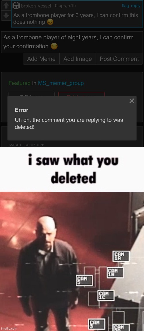 Idk why they deleted it tho | image tagged in i saw what you deleted | made w/ Imgflip meme maker