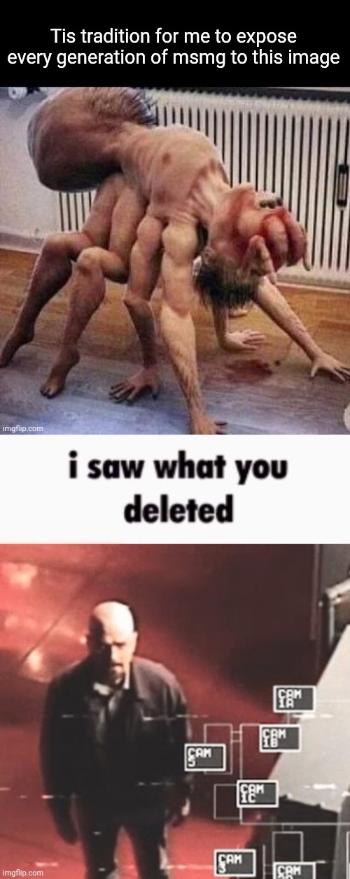 @broken-vessel | Tis tradition for me to expose every generation of msmg to this image | image tagged in i saw what you deleted | made w/ Imgflip meme maker