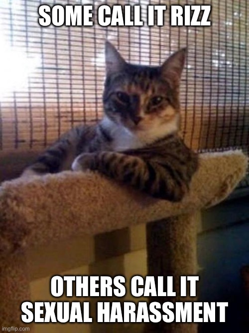 Giga Cat | SOME CALL IT RIZZ; OTHERS CALL IT SEXUAL HARASSMENT | image tagged in giga cat | made w/ Imgflip meme maker