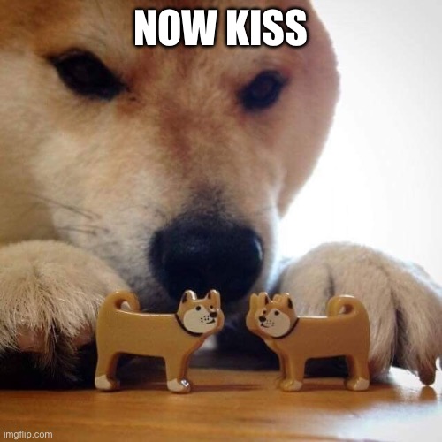 Now Kiss Doge | NOW KISS | image tagged in now kiss doge | made w/ Imgflip meme maker