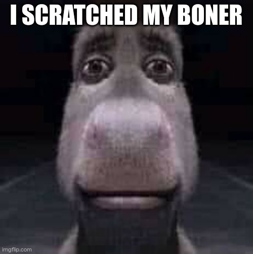 h e l p i m i n p a i n | I SCRATCHED MY BONER | image tagged in donkey staring | made w/ Imgflip meme maker
