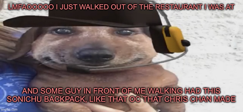 like the incest guy | LMFAOOOOO I JUST WALKED OUT OF THE RESTAURANT I WAS AT; AND SOME GUY IN FRONT OF ME WALKING HAD THIS SONICHU BACKPACK, LIKE THAT OC THAT CHRIS CHAN MADE | image tagged in chucklenuts | made w/ Imgflip meme maker
