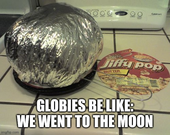 GLOBIES BE LIKE: WE WENT TO THE MOON | image tagged in funny memes | made w/ Imgflip meme maker