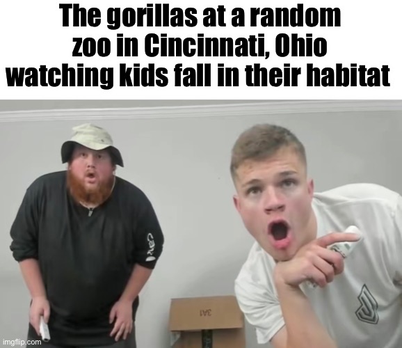 Me and bro staring at | The gorillas at a random zoo in Cincinnati, Ohio watching kids fall in their habitat | image tagged in me | made w/ Imgflip meme maker