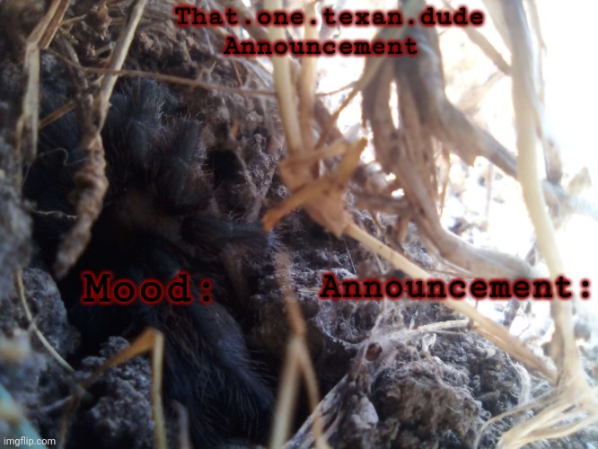 rate my new announcement template | That.one.texan.dude
Announcement; Mood:; Announcement: | made w/ Imgflip meme maker