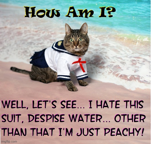 By the Sea, By the Sea, By the Water-Filled Sea | image tagged in vince vance,cats,i love cats,meow,water,sailor | made w/ Imgflip meme maker