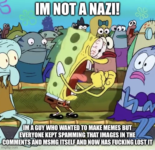 Spongebob Yelling | IM NOT A NAZI! IM A GUY WHO WANTED TO MAKE MEMES BUT EVERYONE KEPT SPAMMING THAT IMAGES IN THE COMMENTS AND MSMG ITSELF AND NOW HAS FUCKING LOST IT | image tagged in spongebob yelling | made w/ Imgflip meme maker
