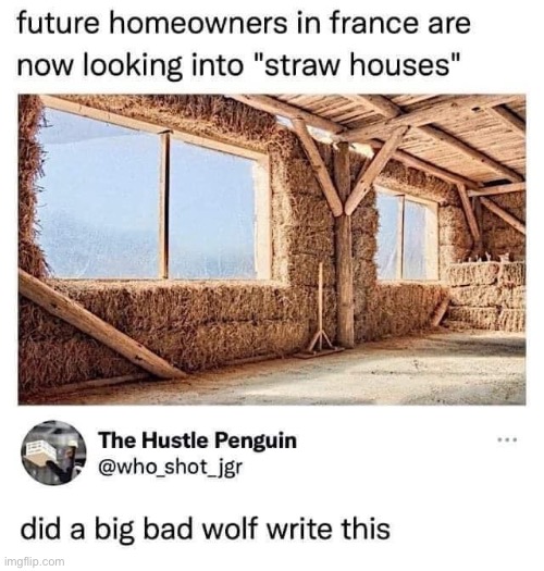 Straw houses | image tagged in straw,house,wolf | made w/ Imgflip meme maker
