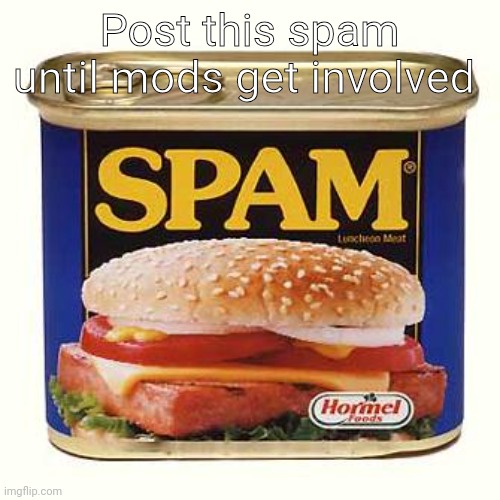 No balls or vagina you won't | Post this spam until mods get involved | image tagged in spam | made w/ Imgflip meme maker