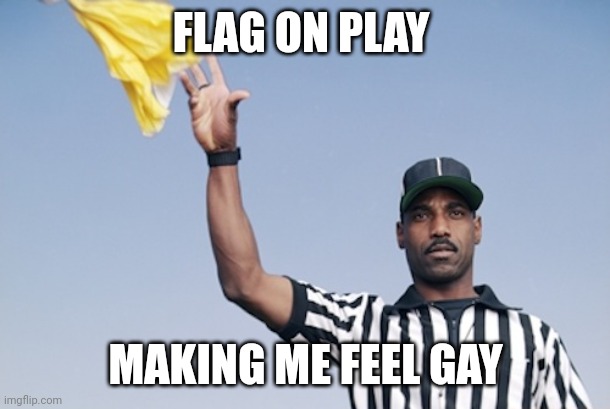 Satire | FLAG ON PLAY; MAKING ME FEEL GAY | image tagged in flag on the play | made w/ Imgflip meme maker